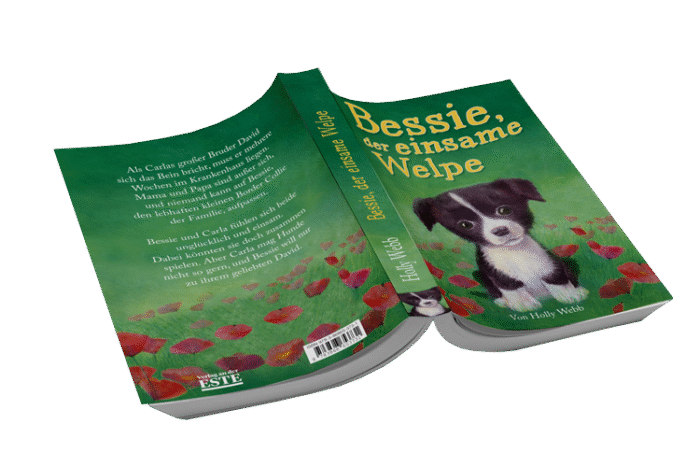 Book with soft cover